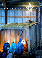 Oak Vue Farm